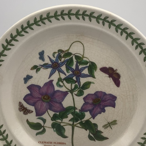 Portmeirion Botanic Garden Clematis Florida Dinner Plate - Picture 3 of 5
